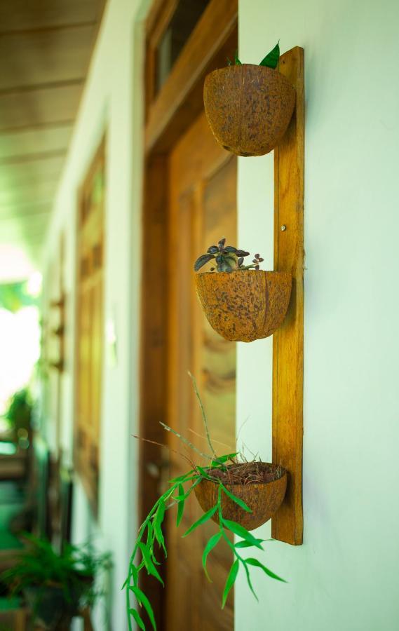 Dambulla Kings Inn Exterior foto